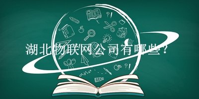 湖北物聯(lián)網公司